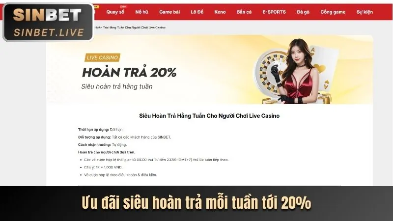 Hoàn trả casino vz99 link